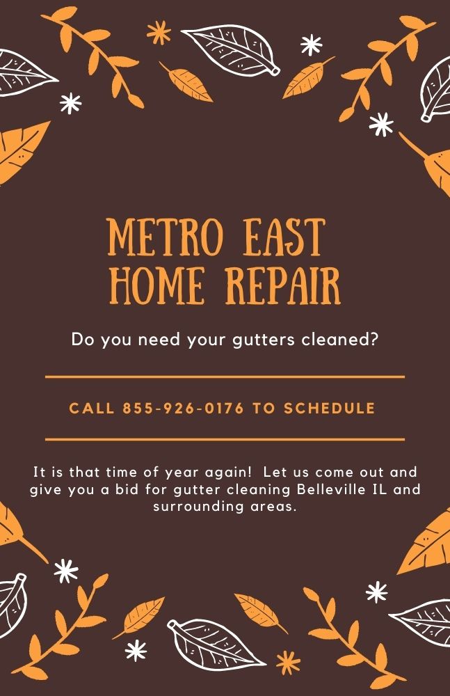 gutter cleaning belleville il